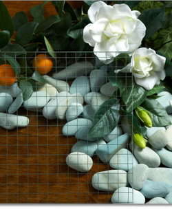 Wired Cast 6mm Clear (Georgian) Float / Annealed Glass