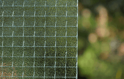 Wired Cast Obscure Glass 6mm Float / Annealed