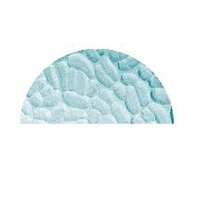 Circular Glass (Half Circle) - Patterned Glass